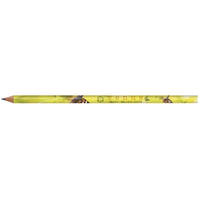 BIC® Evolution Classic Cut End Digital Ecolutions® Pencil