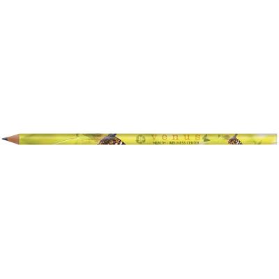 BIC Evolution Clas...