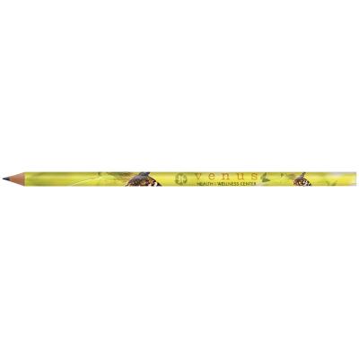 BIC® Evolution Cl...