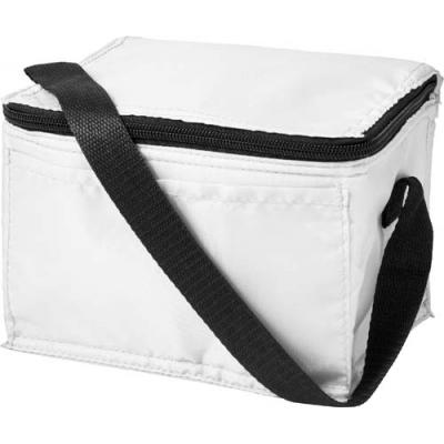 Polyester (210D) rectangular cooler bag