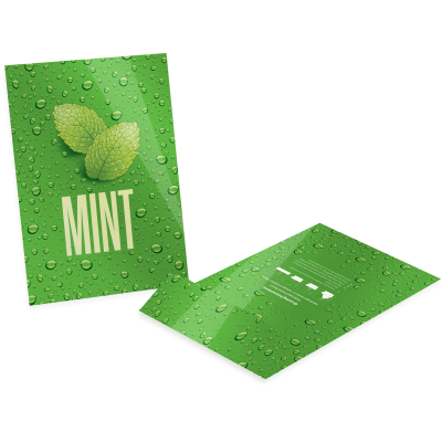 Small Seed Envelop...